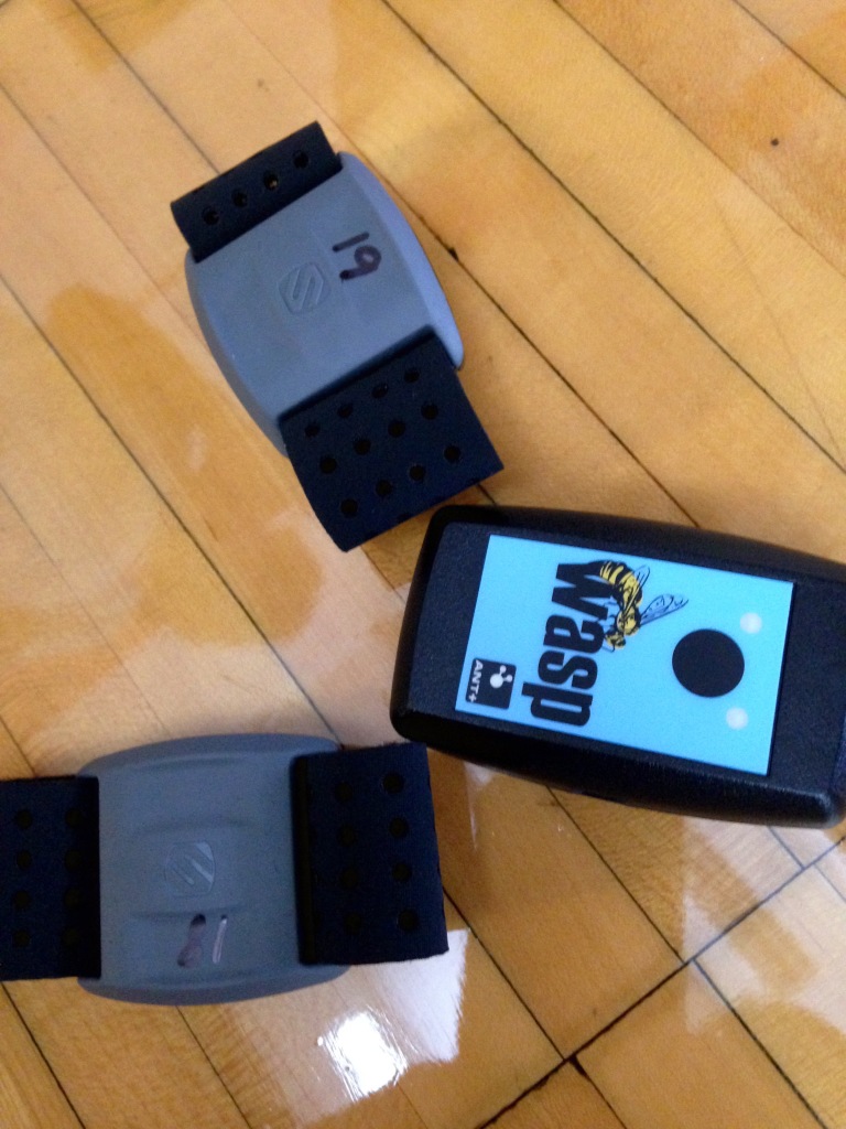 Old blink 3.0 heart rate monitors and Heart Zones Wasp bridge