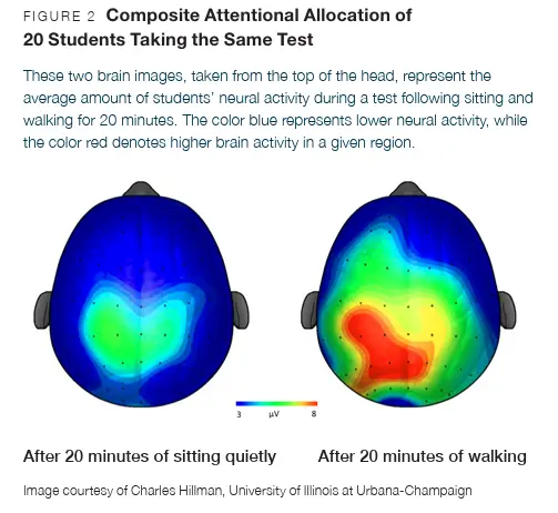 student neural activity after 20 minutes of exercise