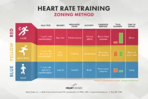 Zoning Cards (10 pack) (copy)