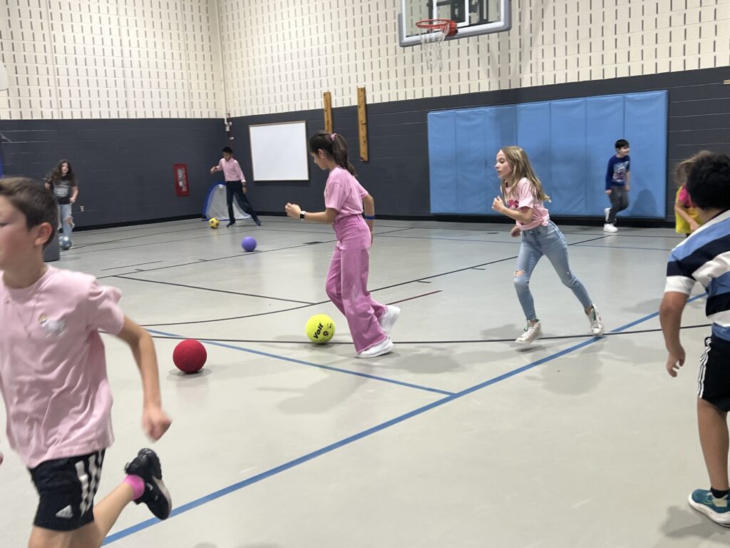 “Heart Zones . . . is a game changer – especially for those students who tend to not LOVE to move!” 

 ~ Dena Scudieri, PE Teacher at Joyce Kilmer School